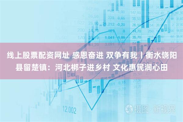 线上股票配资网址 感恩奋进 双争有我丨衡水饶阳县留楚镇：河北梆子进乡村 文化惠民润心田